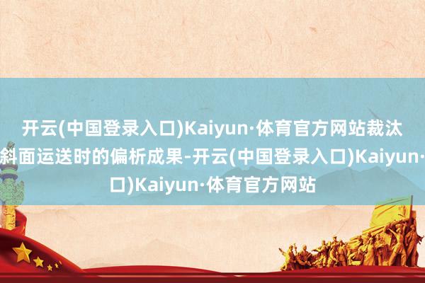 开云(中国登录入口)Kaiyun·体育官方网站裁汰物料沿着静止斜面运送时的偏析成果-开云(中国登录入口)Kaiyun·体育官方网站