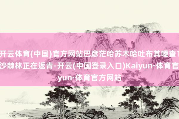 开云体育(中国)官方网站巴彦茫哈苏木哈吐布其嘎查1500亩沙棘林正在返青-开云(中国登录入口)Kaiyun·体育官方网站