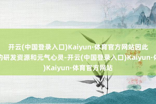 开云(中国登录入口)Kaiyun·体育官方网站因此参加了多数的研发资源和元气心灵-开云(中国登录入口)Kaiyun·体育官方网站