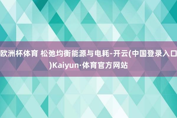 欧洲杯体育 松弛均衡能源与电耗-开云(中国登录入口)Kaiyun·体育官方网站