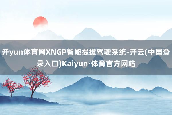 开yun体育网XNGP智能提拔驾驶系统-开云(中国登录入口)Kaiyun·体育官方网站