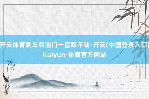 开云体育刹车和油门一皆踩不动-开云(中国登录入口)Kaiyun·体育官方网站