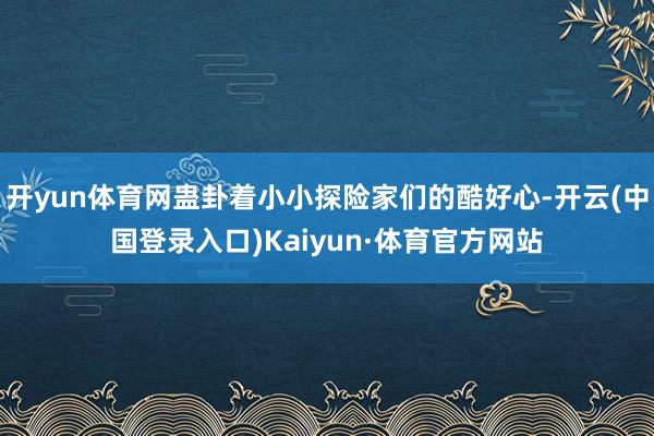 开yun体育网蛊卦着小小探险家们的酷好心-开云(中国登录入口)Kaiyun·体育官方网站